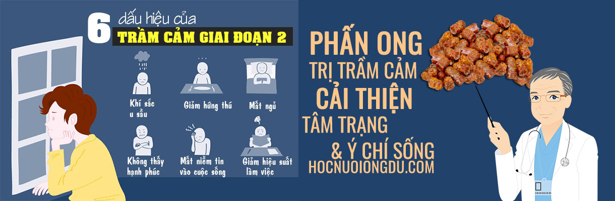 Phấn ong trị bệnh trầm cảm, stress, cải thiện tâm trạng