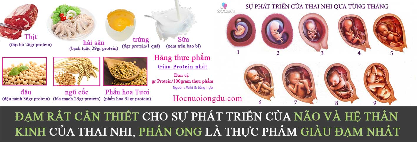 phấn ong và những món ăn tốt cho thai nhi