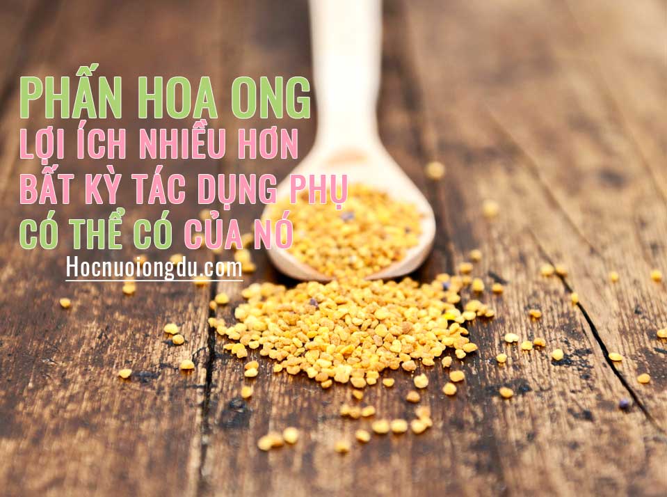 phụ nữ cho con bú uống phấn hoa được không, bee bread