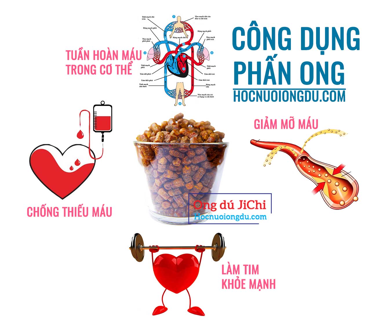 Sử dụng phấn ong giảm mỡ máu, thiếu máu, tuần hoàn máu