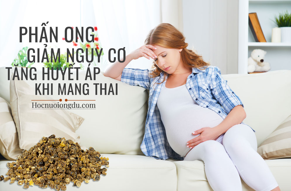 tác dụng của phấn hoa đối với bà bầu là giảm tăng huyết áp