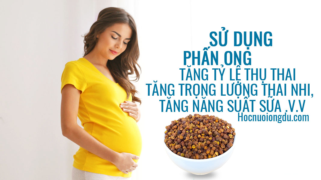 Tác dụng của phấn hoa đối với bà bầu, thức ăn đậu thai