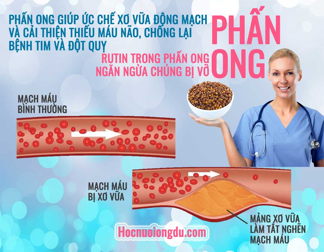 Tác dụng chống xơ vữa động mạch và vỡ mạch máu ở phấn ong