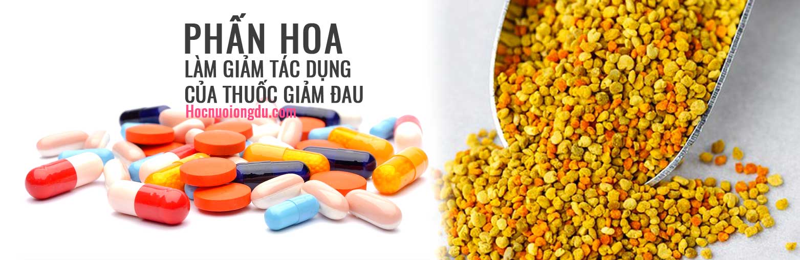 Tác dụng phụ của phấn hoa khi uống chung với thuốc