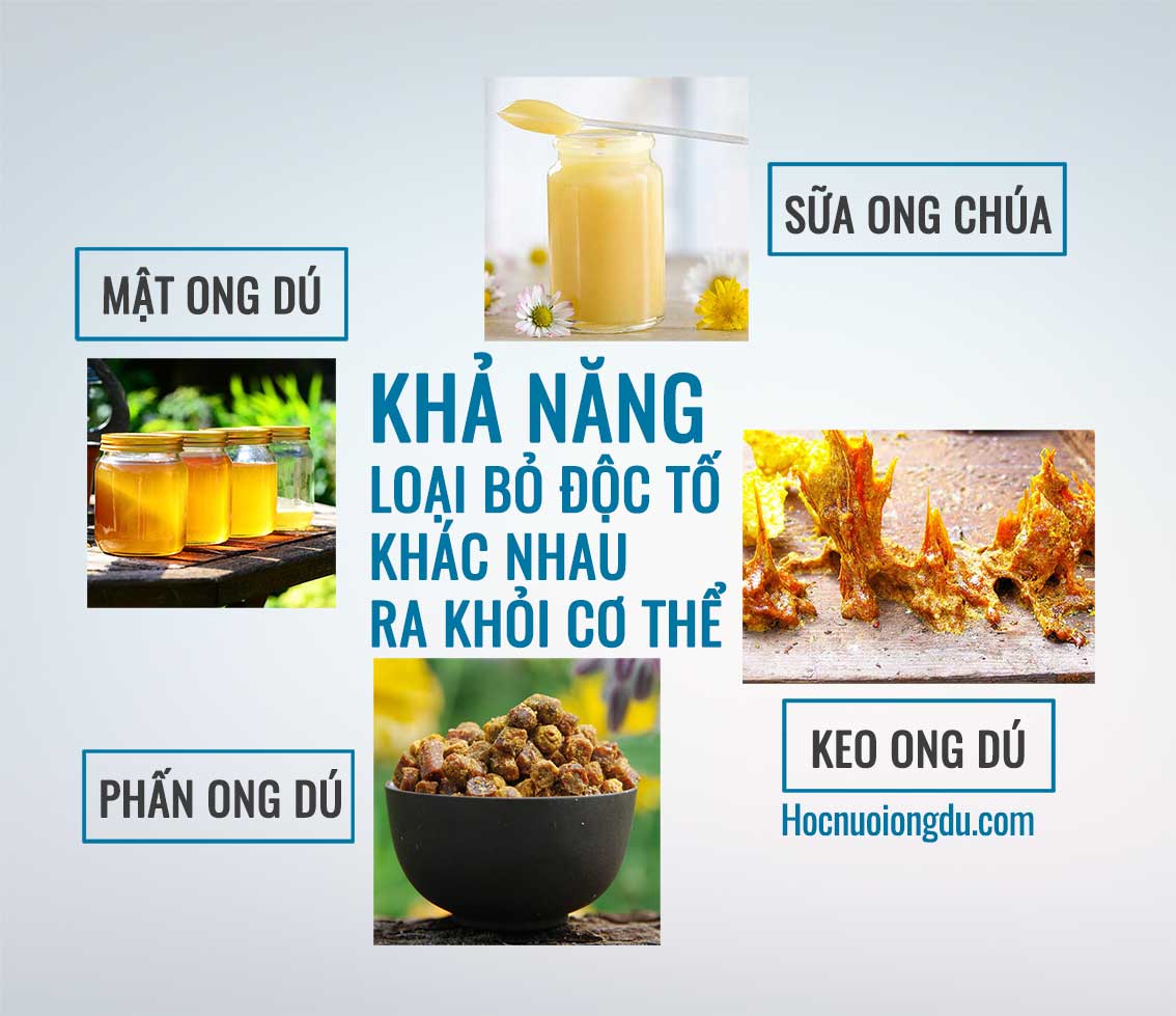 Thức uống, thực phẩm giải độc cơ thể với mật ong, phấn ong