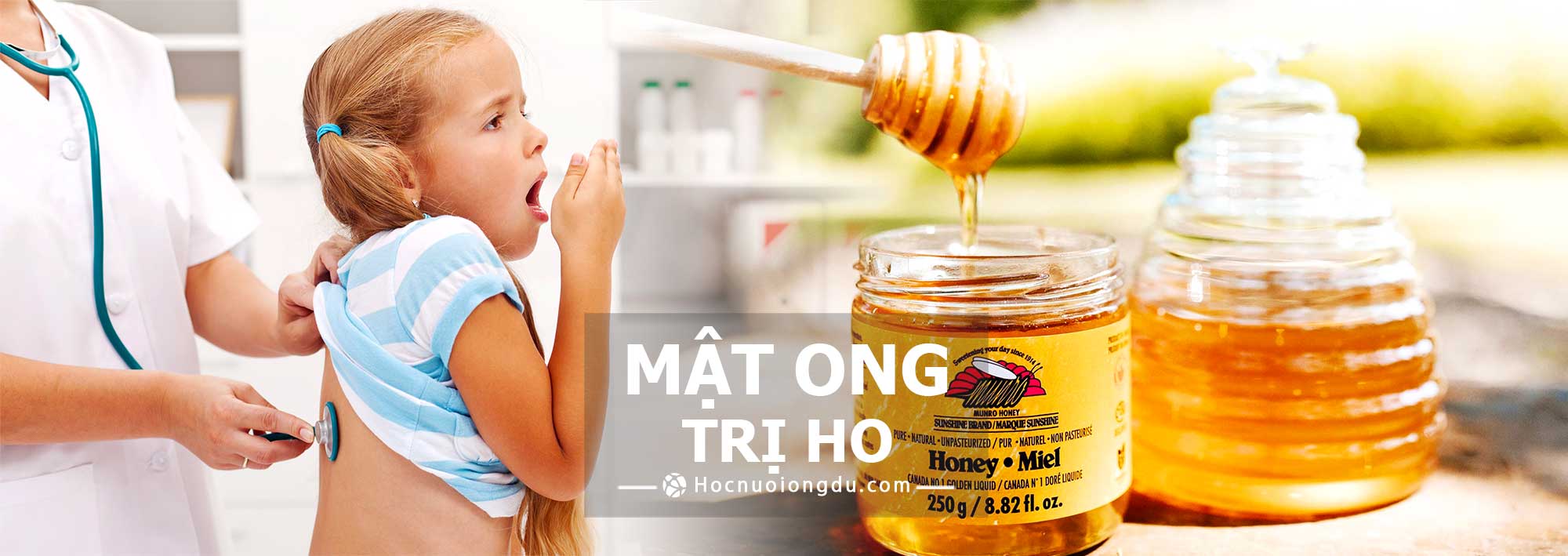 trị ho bằng mật ong