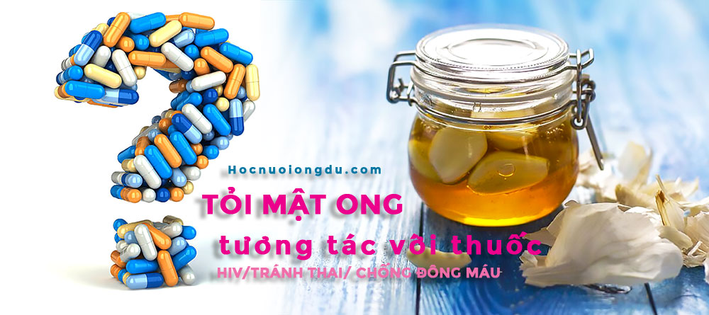 tương tác của tỏi ngâm mật ong với các loại thuốc