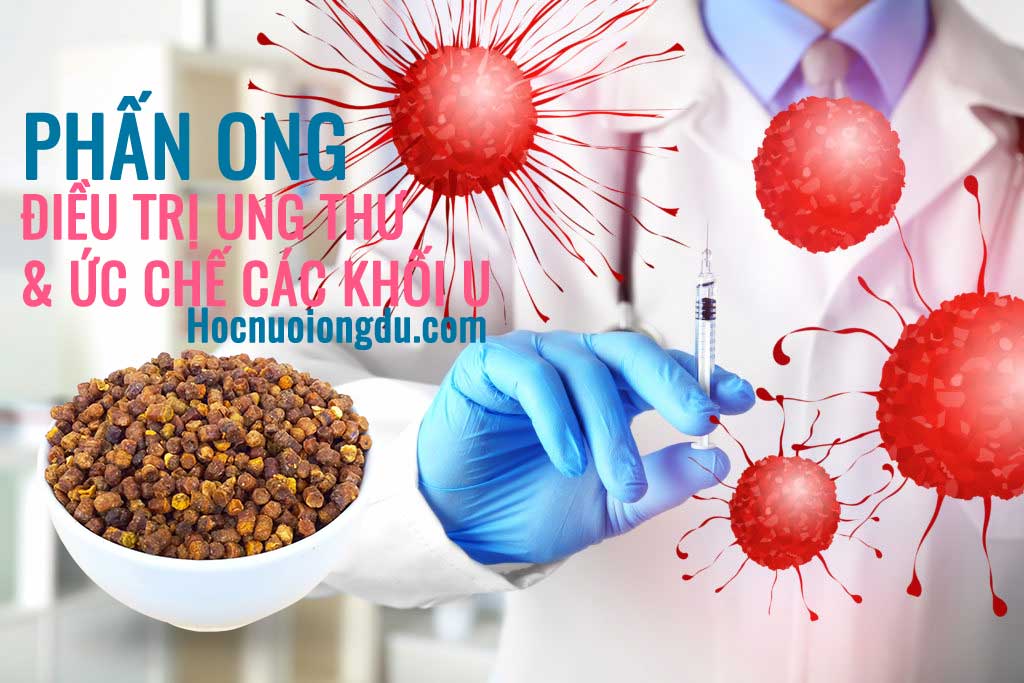 Uống phấn ong chống ung thư và khối u