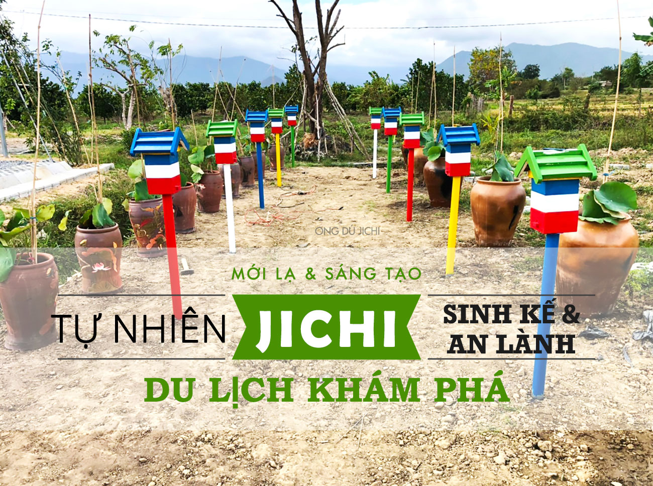 biệt thự nhà vườn đẹp được trang trí bằng các thùng nuôi ong dú, stingless bee