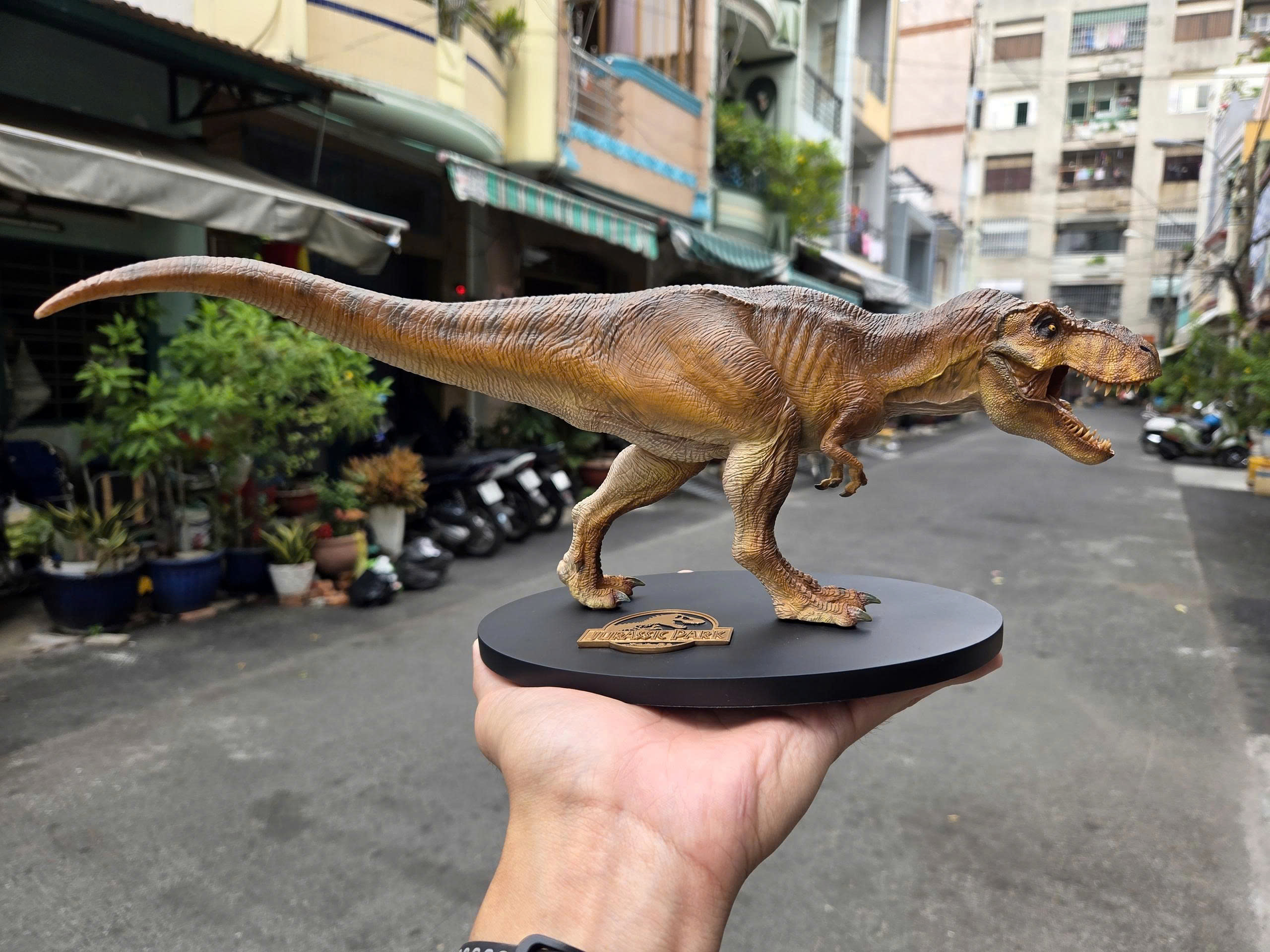 Khủng Long (Sẵn Hàng)