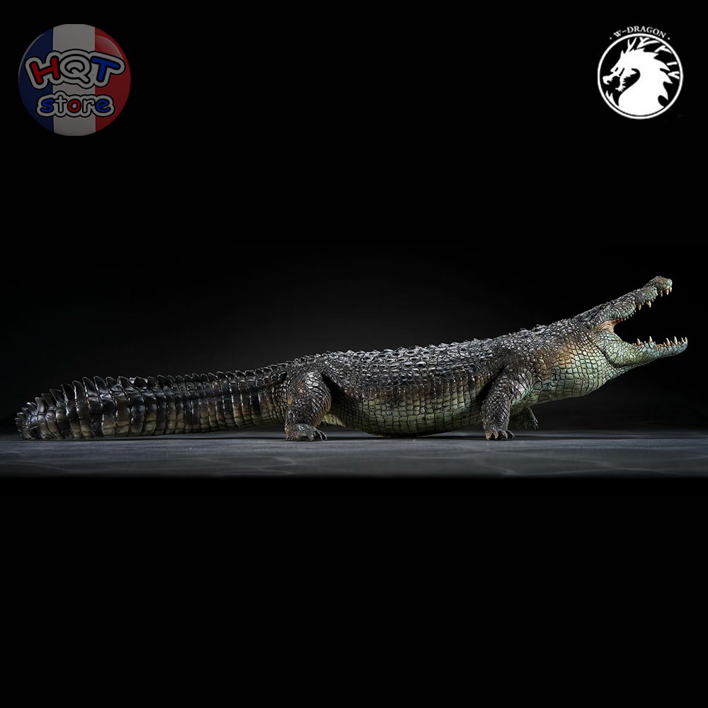 Mô hình Cá Sấu Nước Mặn Crocodile W-Dragon 52cm tỉ lệ 1/12