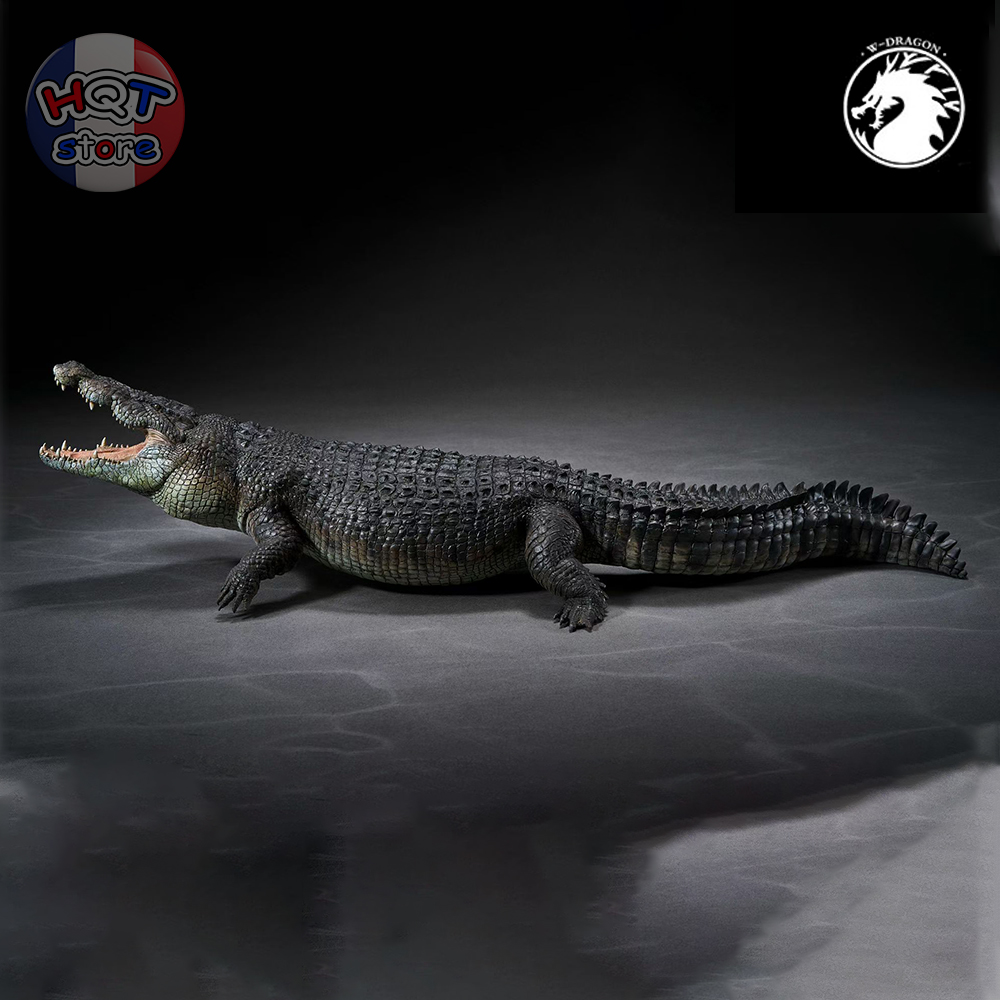 Mô hình Cá Sấu Nước Mặn Crocodile W-Dragon 52cm tỉ lệ 1/12