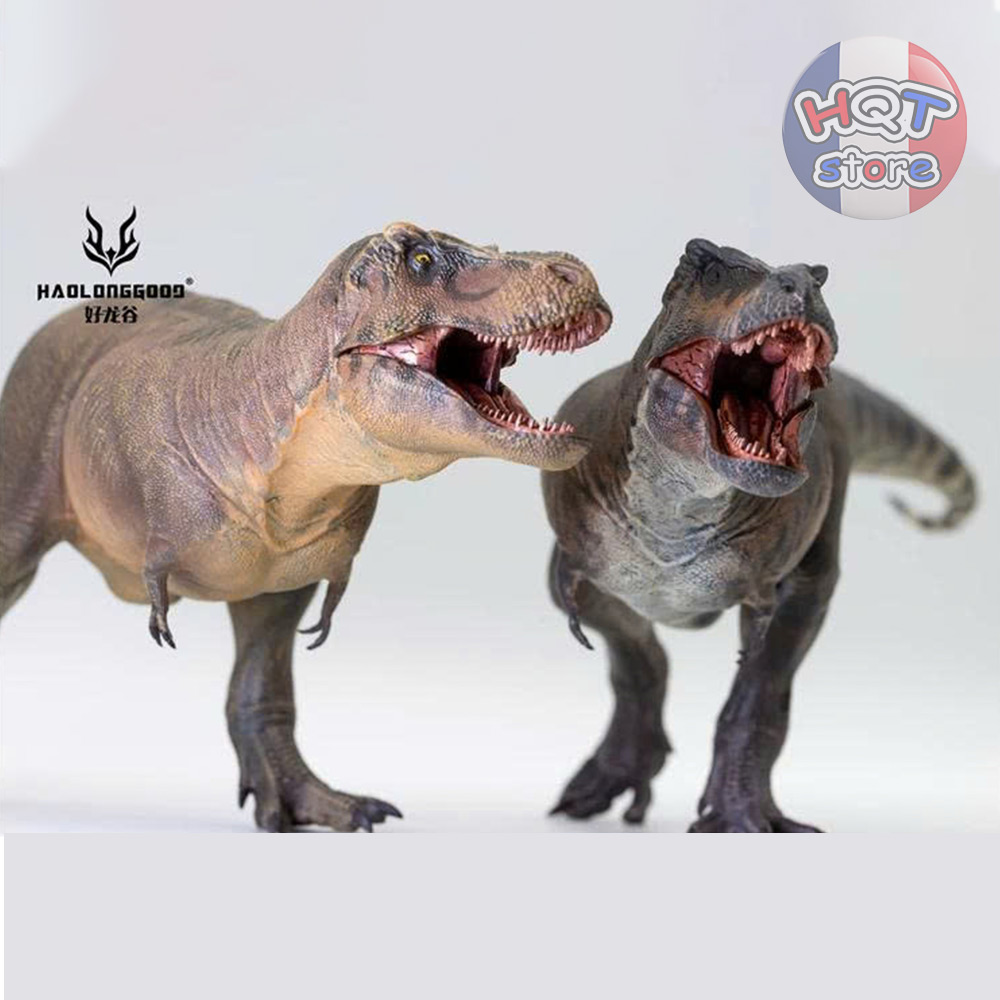 Mô hình Khủng Long Tyrannosaurus Rex Haolonggood T-Rex 1/35