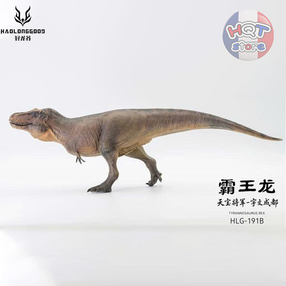 Mô hình Khủng Long Tyrannosaurus Rex Haolonggood T-Rex 1/35