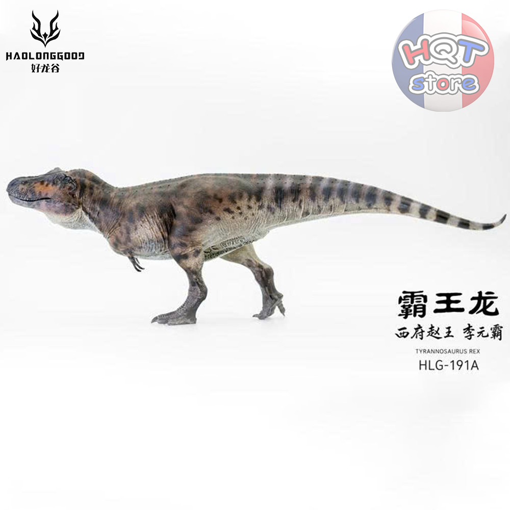 Mô hình Khủng Long Tyrannosaurus Rex Haolonggood T-Rex 1/35