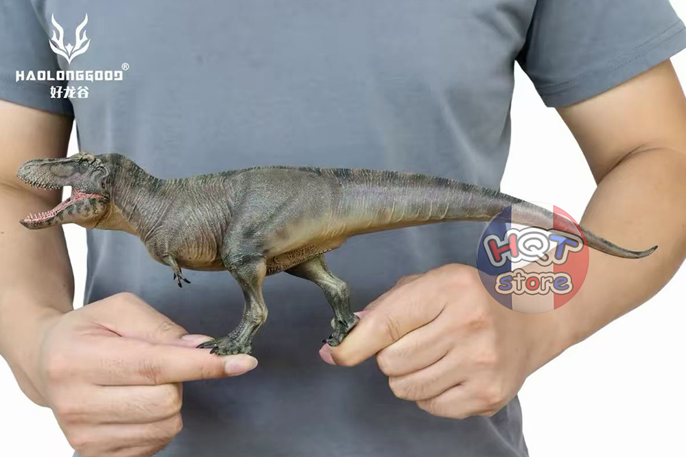 Mô hình Khủng Long Tyrannosaurus Rex Haolonggood T-Rex 1/35
