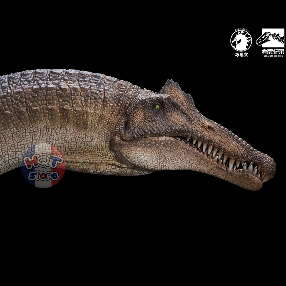 Mô hình Spinosaurus W-Dragon Startrum Records PVC tỉ lệ 1/35