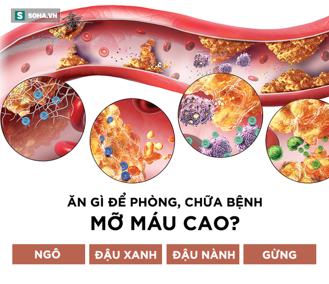 Những tác hại của bệnh mỡ máu cao