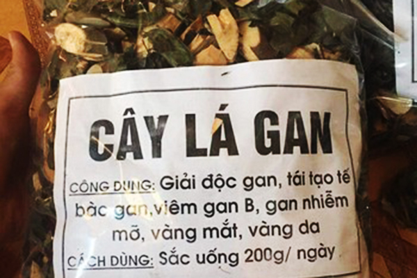 Cây lá gan khô