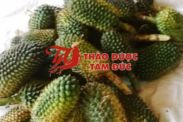 Quả dứa dại nước