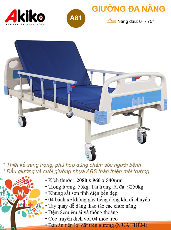 Giường bệnh nhân AKIKO A81 - Giường y tế 1 tay quay cao cấp