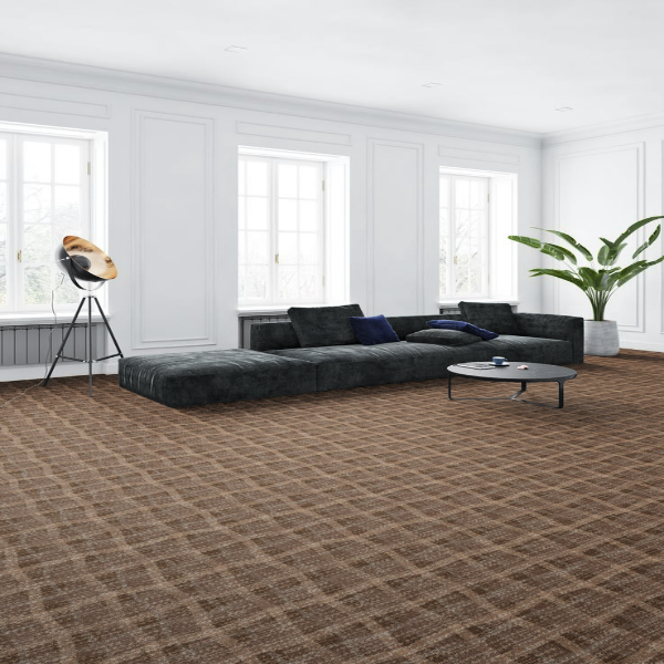 tham-trai-san-cao-cap-dinh-viet-va-tham-bi