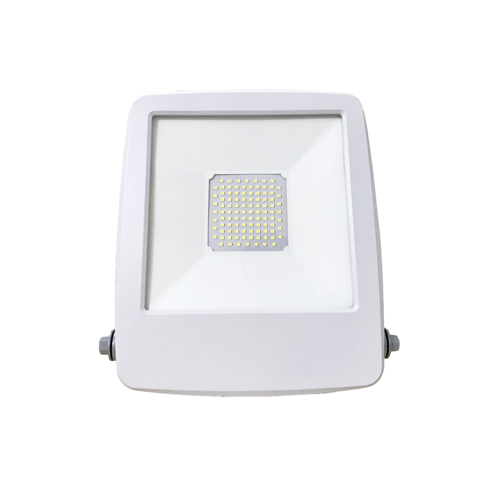 Đèn Led Pha DLV-F2-100W