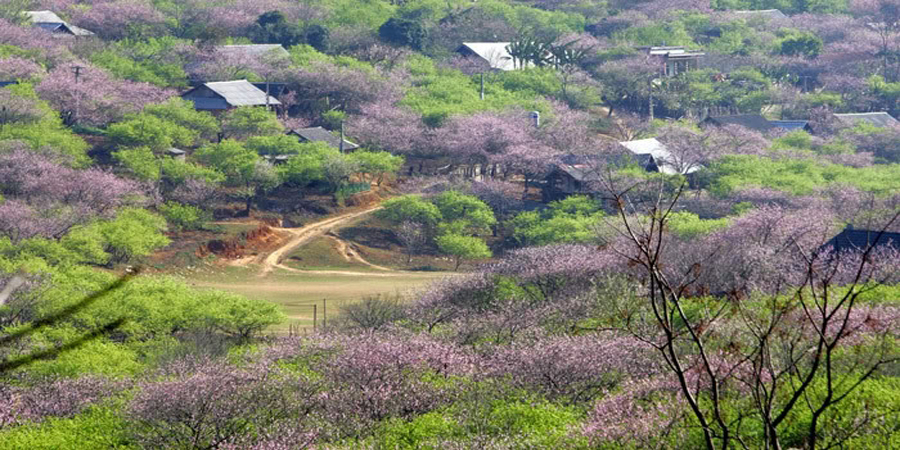 bản loóng luông