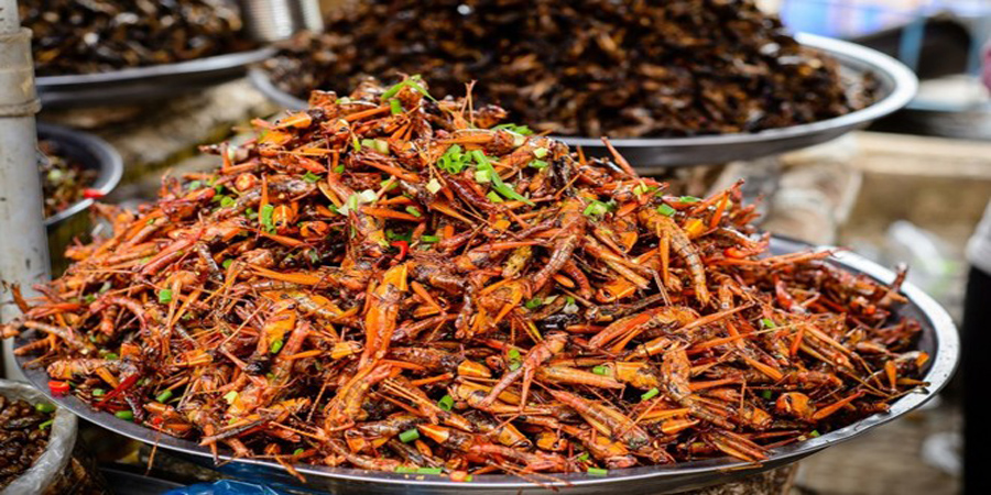 Châu Chấu đồng rang