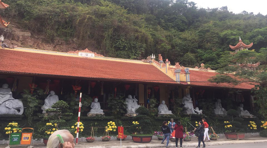 Tour Bạch Đằng Giang Giá Rẻ Review Kinh Nghiệm Du Lịch 2023 - Tour Pro Tour Bạch Đằng Giang Giá Rẻ Review Kinh Nghiệm Du Lịch 2023 - Tour Pro