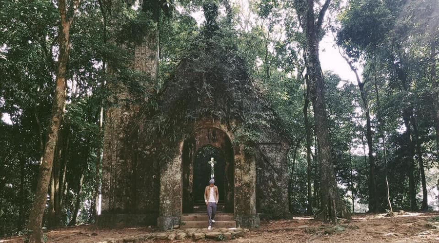 Tour Vườn Quốc Gia Ba Vì Giá Rẻ Kinh Nghiệm Du Lịch 2024