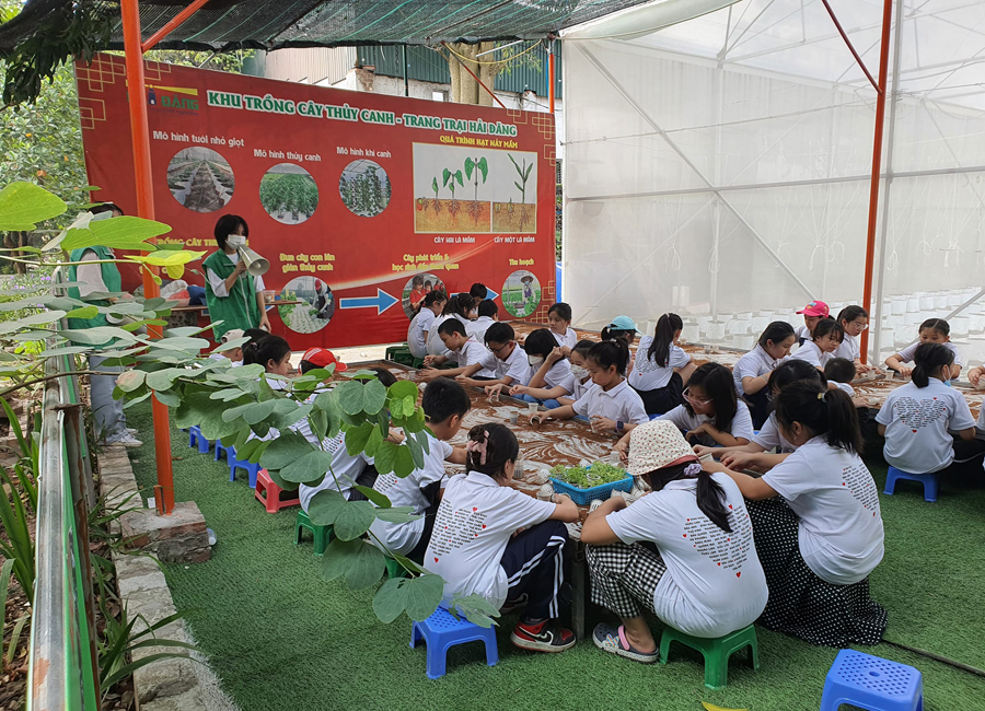 Review Kinh Nghiệm Đi Trang Trại Hải Đăng Thanh Trì 2024