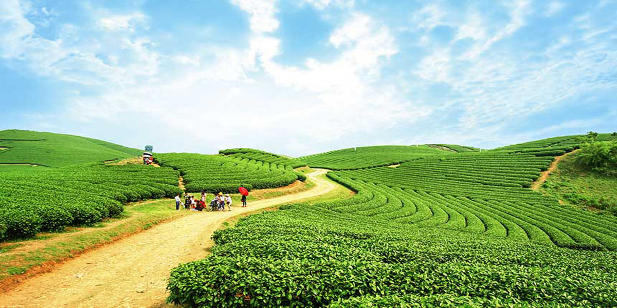 Tour Du Lịch Mộc Châu - Sapa 2019