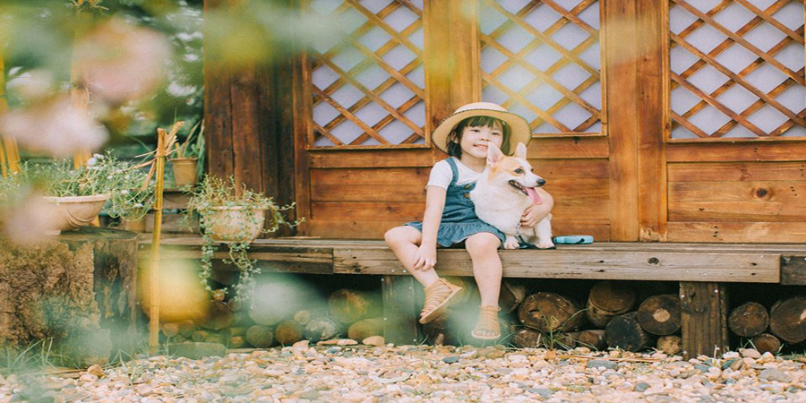 Giữa thành phố đông đúc và náo nhiệt có một góc Hàn Quốc ở Hà Nội cực xinh.