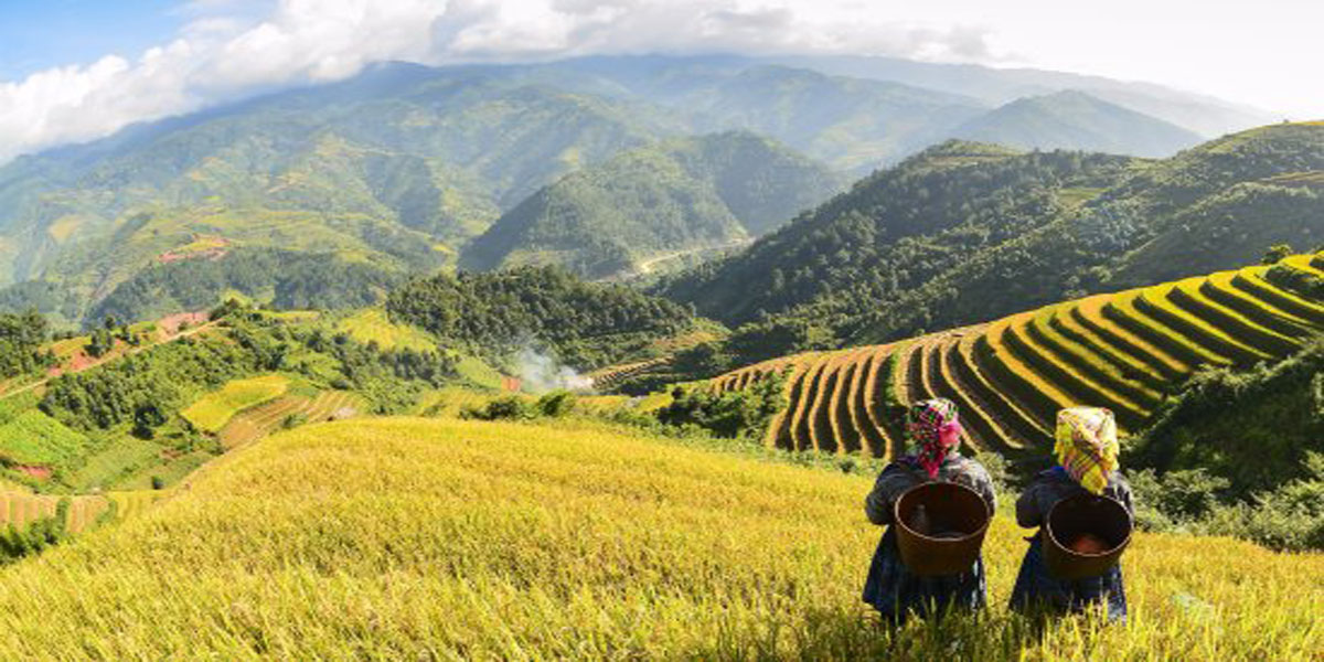 Tour Du Lịch Mộc Châu - Sapa 2019
