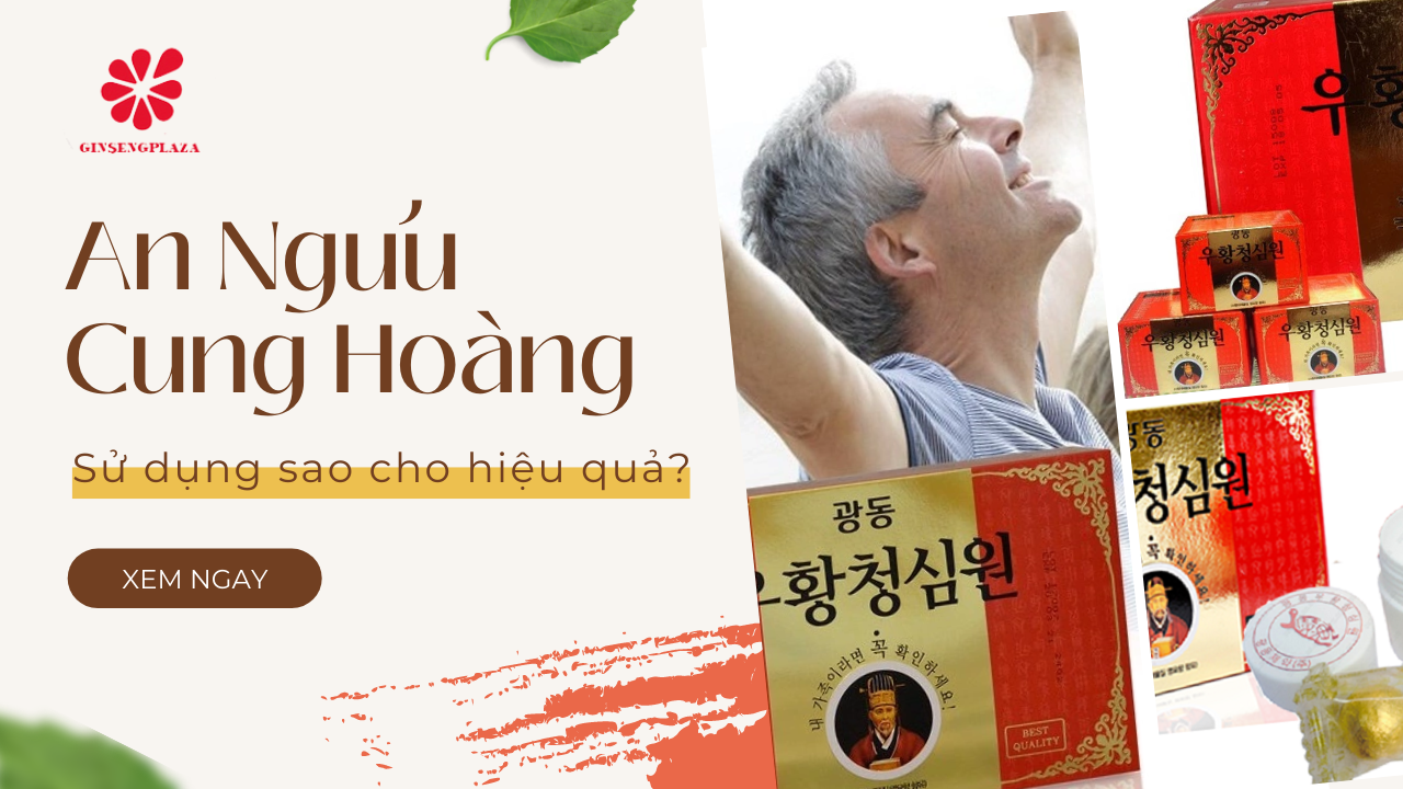 An Cung Ngưu Hoàng - Sử Dụng Sao Cho Hiệu Quả?