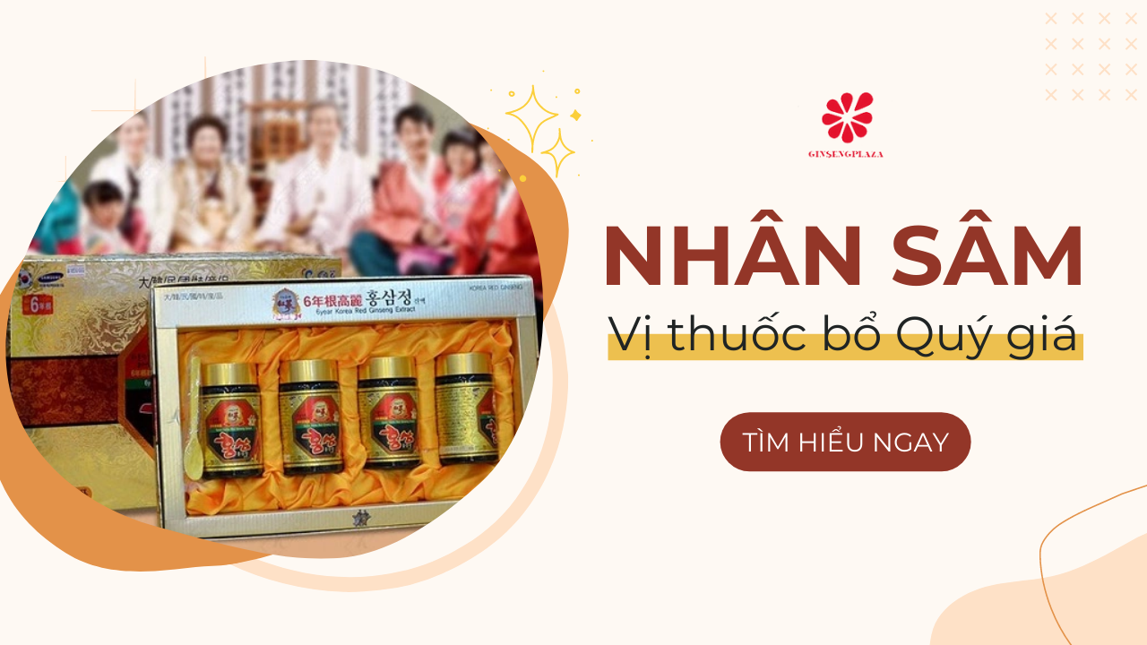 Nhân Sâm - Vị Thuốc Bổ Quý Giá