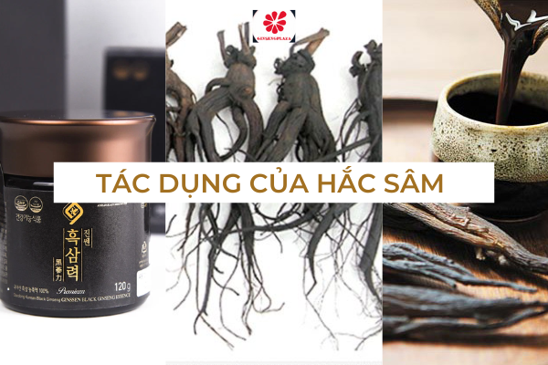 Tác Dụng Của Hắc Sâm Tới Sức Khỏe Con Người