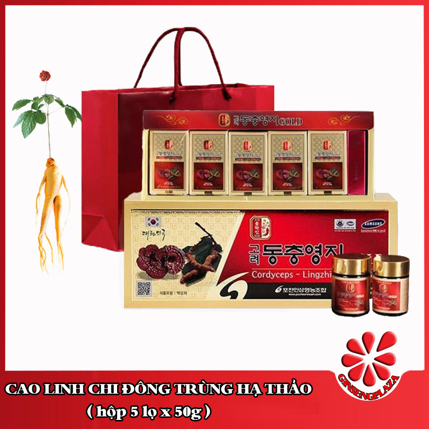 CAO ĐÔNG TRÙNG LINH CHI HB HỖ TRỢ TĂNG CƯỜNG SỨC KHỎE VÀ MIỄN DỊCH