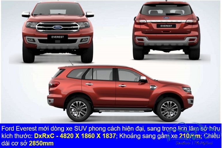 Ford Everest 2019  mua bán xe Everest 2019 cũ giá rẻ 032023  Bonbanhcom