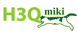 H3Q Miki