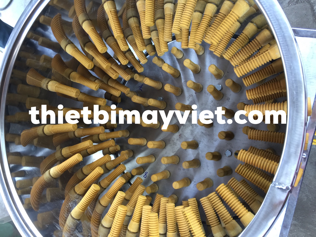 núm-cao-su-máy-vặt-lông-gà