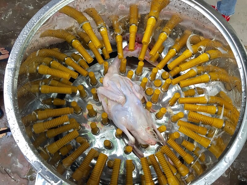 máy-vặt-llong-vịt