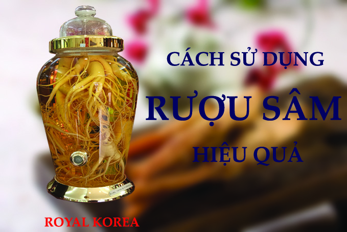 Tác dụng của rượu sâm và cách sử dụng hiệu quả