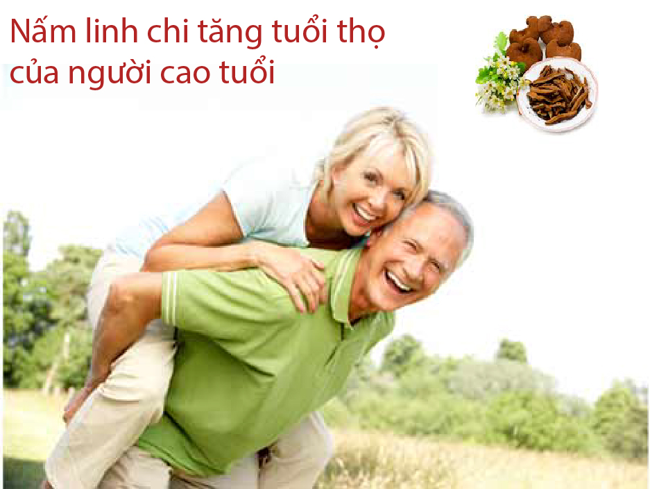 Nấm linh chi tăng tuổi thọ của người cao tuổi