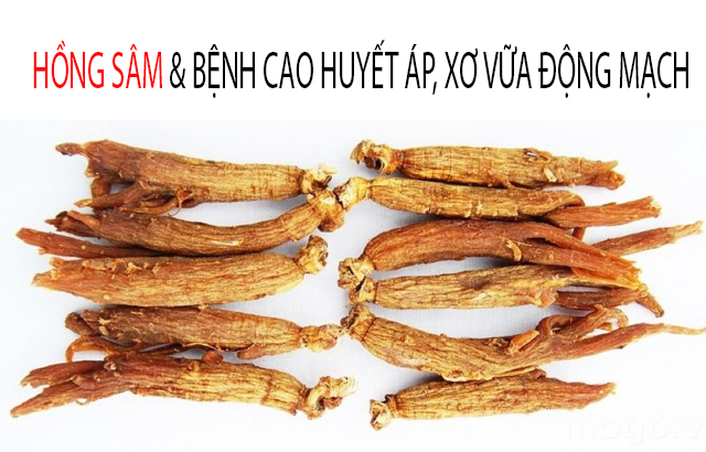 Hồng Sâm Hàn Quốc làm ổn định huyết áp và ngăn ngừa bệnh xơ vữa động mạch