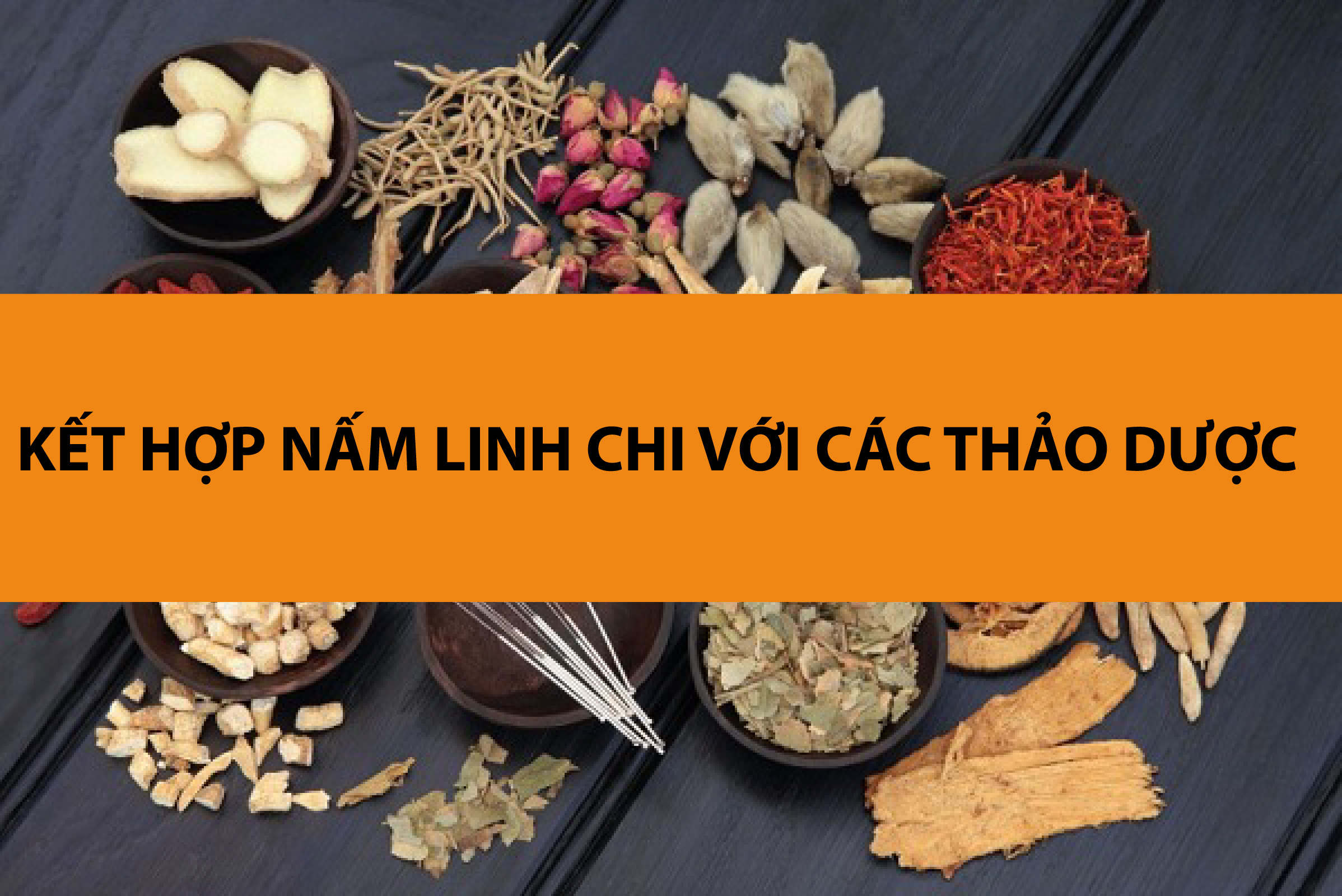 Sự kết hợp của nấm linh chi với các thảo dược khác