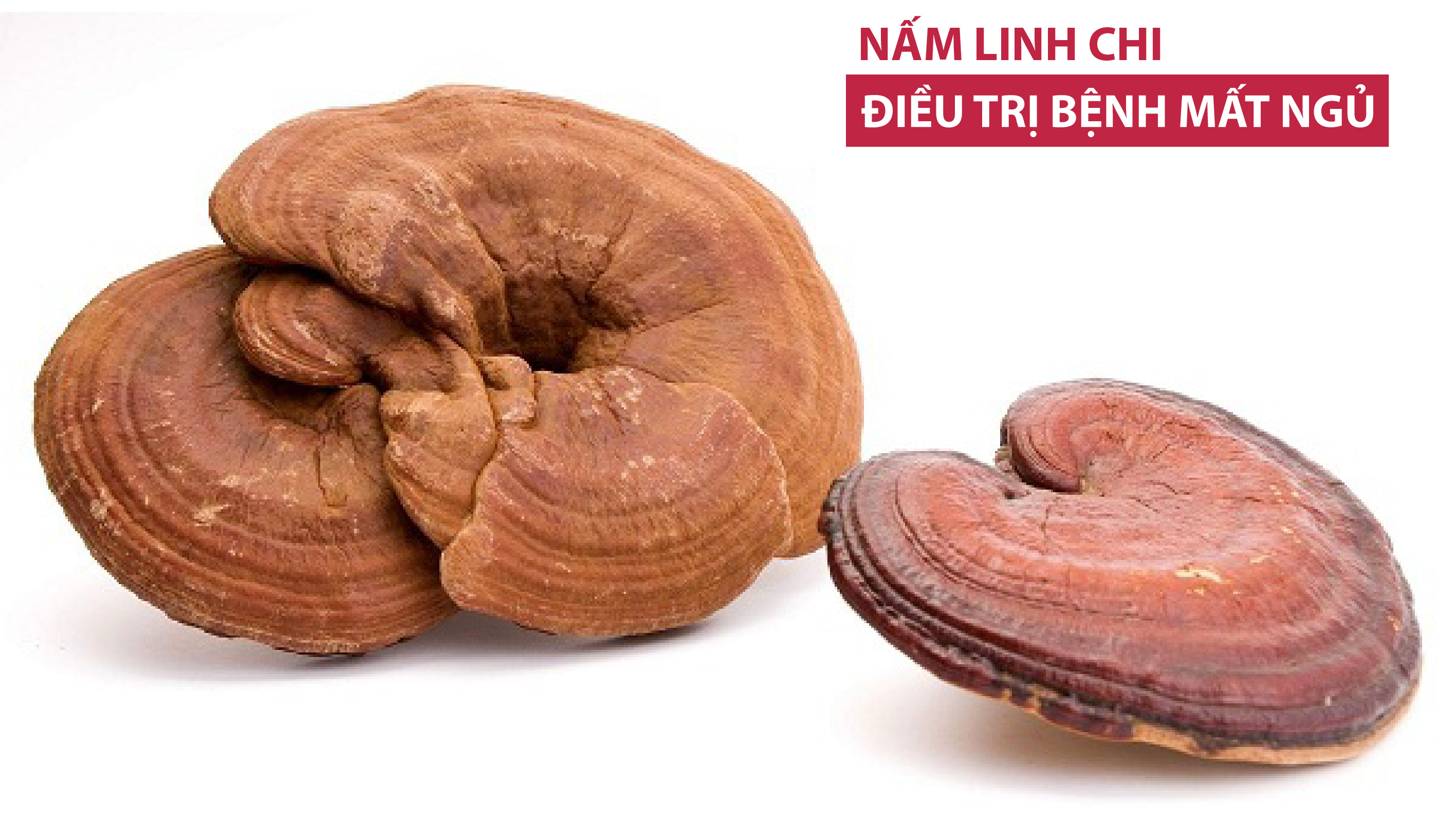 Điều trị bệnh mất ngủ ở người già nhờ nấm linh chi