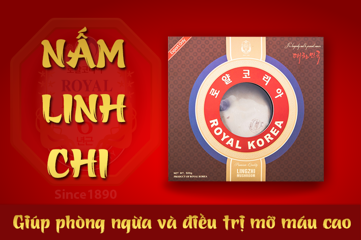 Nấm linh chi giúp phòng ngừa và điều trị mỡ máu cao