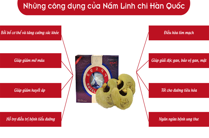 Những tác dụng của nấm linh chi mang lại cho con người